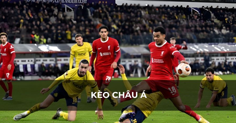 Được lựa chọn nhiều hình thức để cá cược trong bảng kèo ngoại hạng Anh Được lựa chọn nhiều hình thức để cá cược trong bảng kèo ngoại hạng Anh